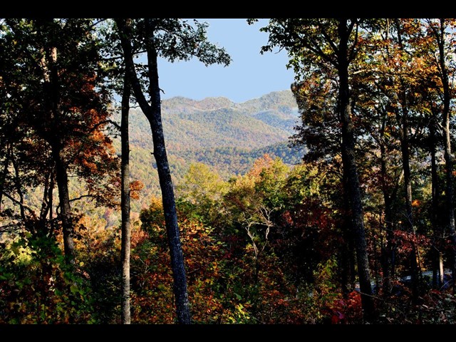 Image of Winterberry Drive, Lot A-20
